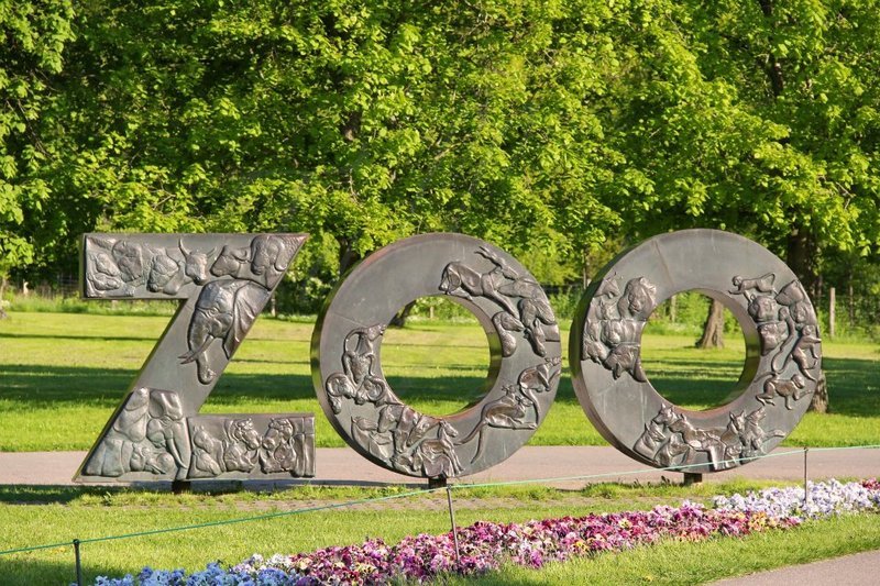 Pildiotsingu Zoo, 13522 Tallinn tulemus